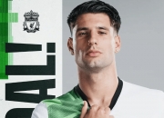 米兰体育vip注册-关于阿尔艾因进攻端火力强劲，欲破利物浦防线的信息