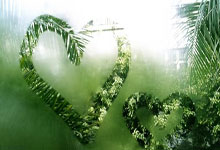 米兰体育官网登录网址-荷兰队前锋范迪克在训练中表现出色