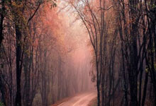 米兰体育注册-马赛主场再现辉煌，实力大幅提升新征程开启