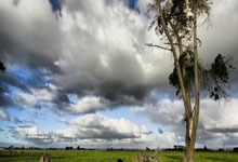 米兰体育注册-马赛主场再现辉煌，实力大幅提升新征程开启